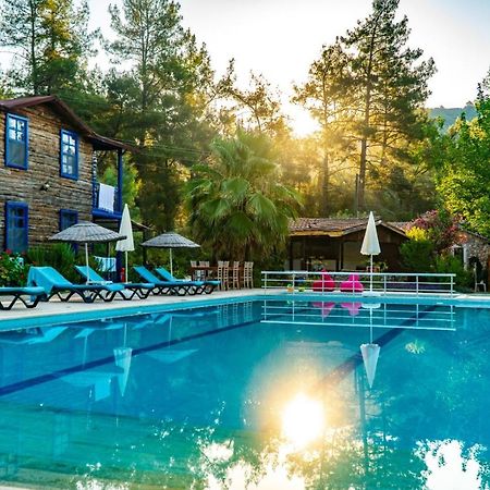 Olympos Forest House Ξενοδοχείο Yazir  Εξωτερικό φωτογραφία
