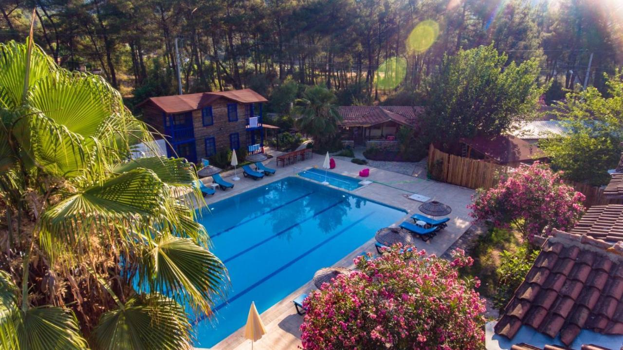 Olympos Forest House Ξενοδοχείο Yazir  Εξωτερικό φωτογραφία